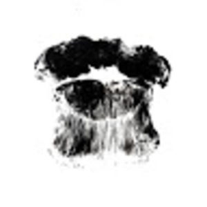 Meet your Posher, Louisa